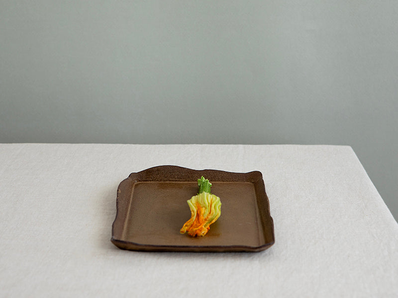 NEW Small Ceramic Rectangular Serving Tray in Brown