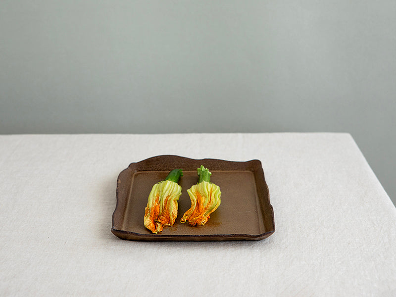 NEW Small Ceramic Rectangular Serving Tray in Brown